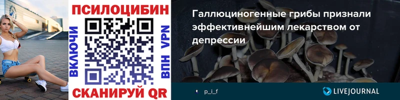 Купить закладки  Белая Холуница  Галлюциногенные грибы GOLDEN TEACHER 